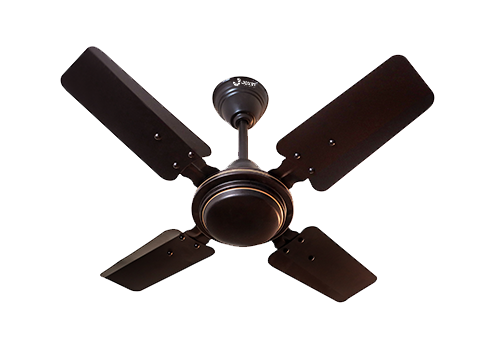 beli-plain-600mm